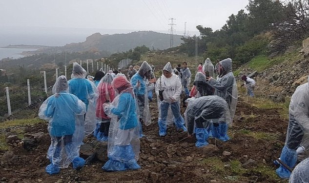 Foca Da Orman Haftasi Kutlama Ve Fidan Dikim Etkinligi 7487.jpg