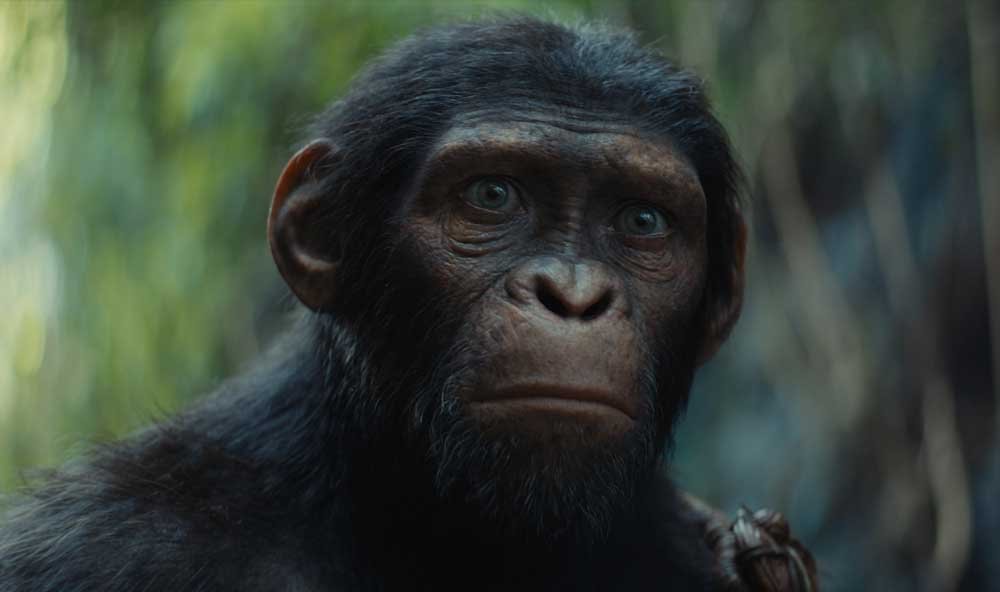 Planet Of The Apes New Kingdom Trailer (3)